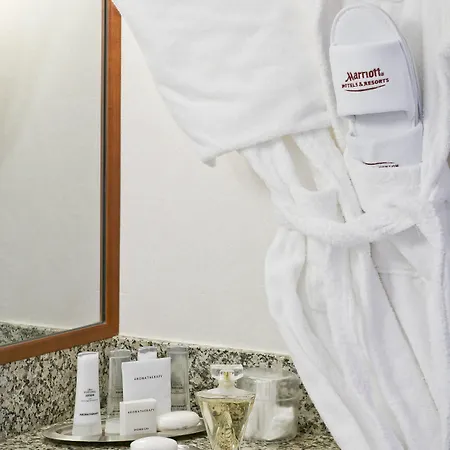 Paris Marriott Charles De Gaulle Airport Hotel Roissy-en-France